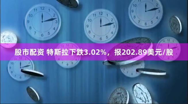 股市配资 特斯拉下跌3.02%，报202.89美元/股