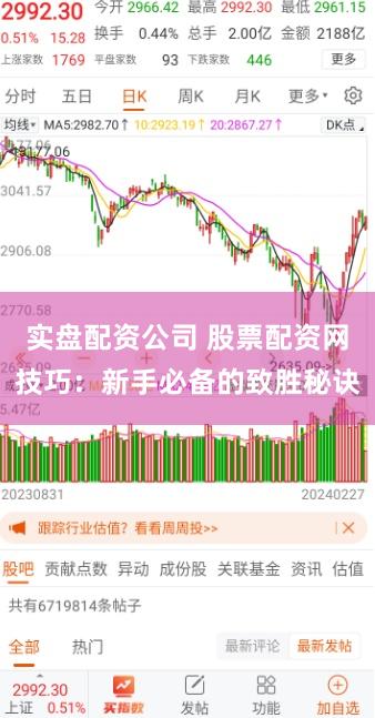 实盘配资公司 股票配资网技巧：新手必备的致胜秘诀