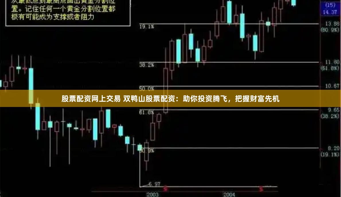 股票配资网上交易 双鸭山股票配资：助你投资腾飞，把握财富先机