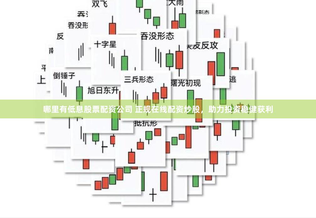 哪里有低息股票配资公司 正规在线配资炒股，助力投资稳健获利