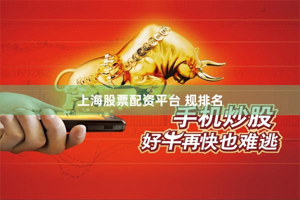 上海股票配资平台 规排名